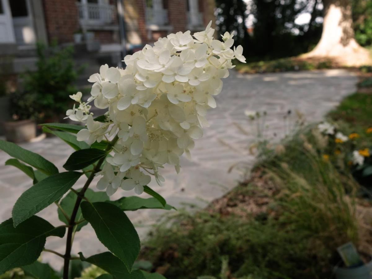 Mille Et Une Feuilles Saint-Martin-Lez-Tatinghem Zewnętrze zdjęcie
